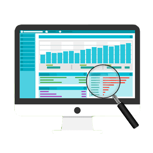 Website Audit
