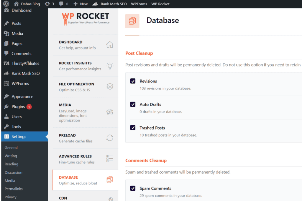 wp rocket review WP rocket Database Optimization